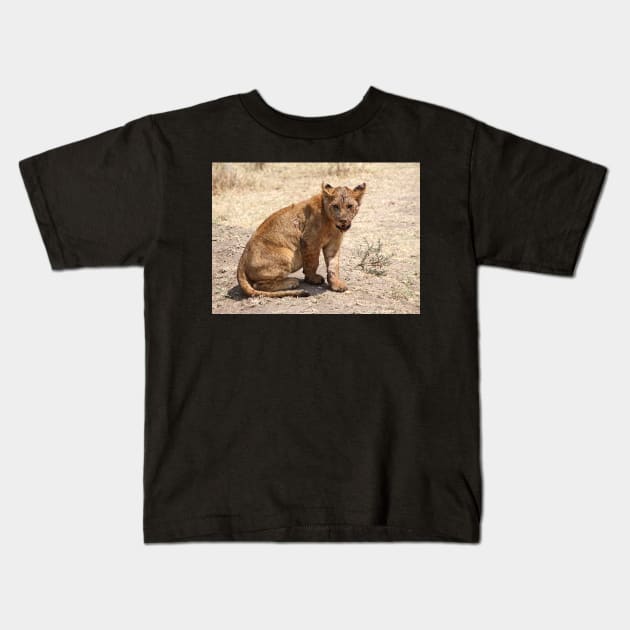 African Lion Cub After Feeding, Serengeti, Tanzania Kids T-Shirt by Carole-Anne